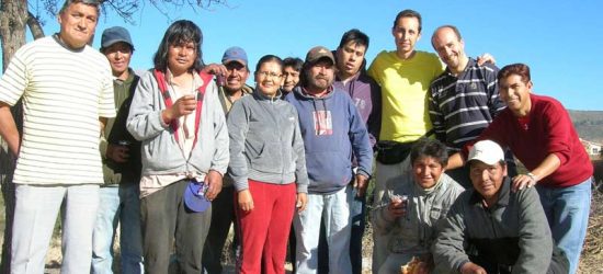 colmena-2016-055